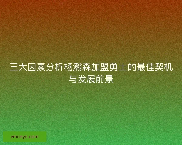三大因素分析杨瀚森加盟勇士的最佳契机与发展前景