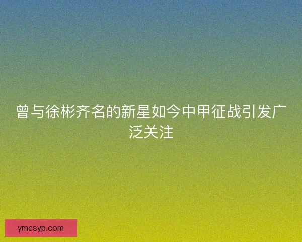 曾与徐彬齐名的新星如今中甲征战引发广泛关注